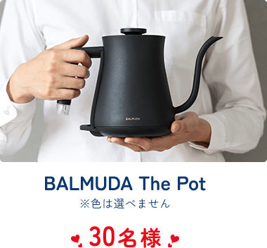 BALMUDA The Pot 30名様