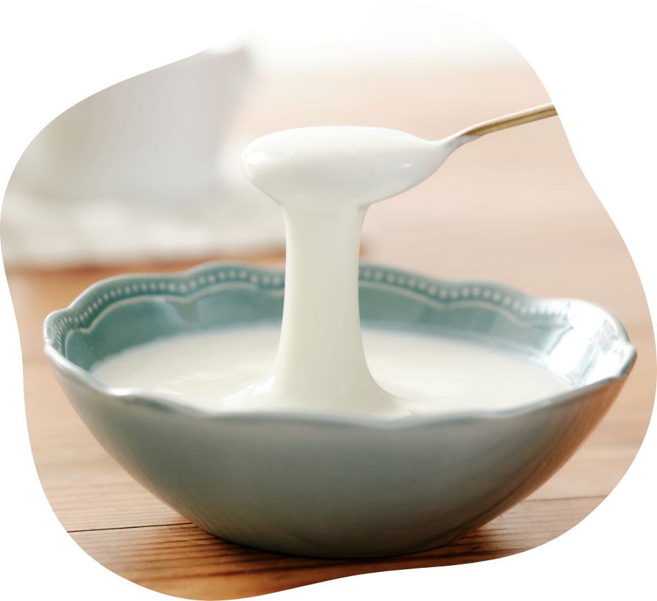 フジッコ　カスピ海ヨーグルト モチーフ02