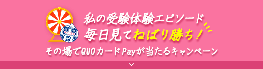 私の受験体験エピソード毎日見てねばり勝ち！ その場でQUOカードPayが当たるキャンペーン